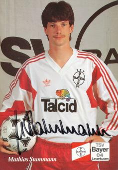 Mathias Stammann  1.08.1991  Bayer 04 Leverkusen Fußball Autogrammkarte original signiert 