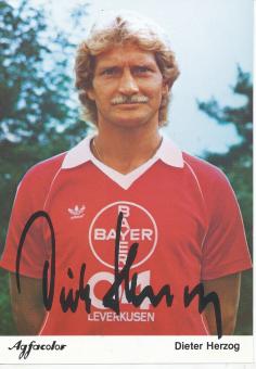 Dieter Herzog  Bayer 04 Leverkusen Fußball Autogrammkarte Druck signiert 