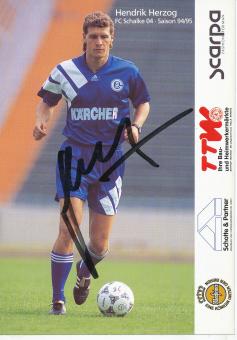 Hendrik Herzog  1994/1995  FC Schalke 04  Fußball  Autogrammkarte original signiert 