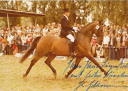 Josef Neckermann † 1992 Olympiasieger Reiten  Autogramm Foto original signiert 