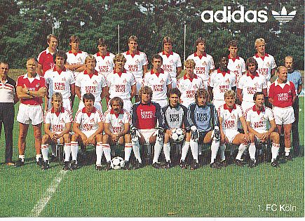 FC Köln  1983/84  Fußball Mannschaft Autogrammkarte 