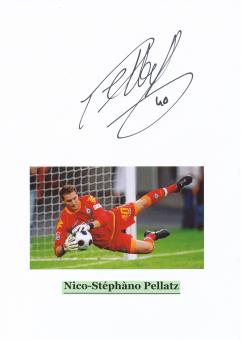 Nico Pellatz  SV Werder Bremen  Autogramm Karte  original signiert 