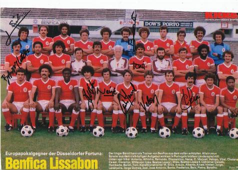 Benfica Lissabon  Mannschaftsbild Fußball Autogramm original signiert 