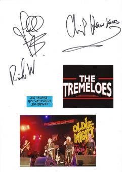 The Tremeloes  Musik Autogramm Karte original signiert 