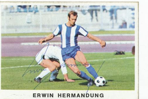 Erwin Hermandung  1975/1976  Hertha BSC Berlin  Bergmann Sammelbild original signiert 