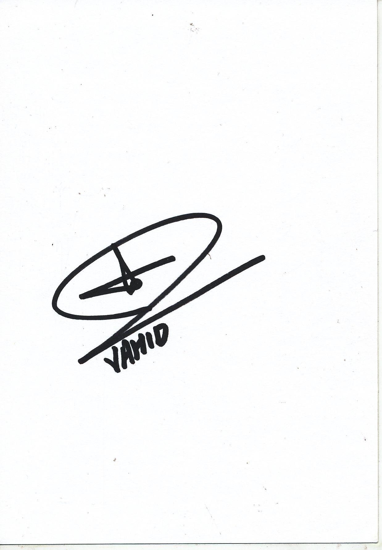 Vahid Hashemian Autogrammkarte VFL Bochum 2001-02 Original Signiert 